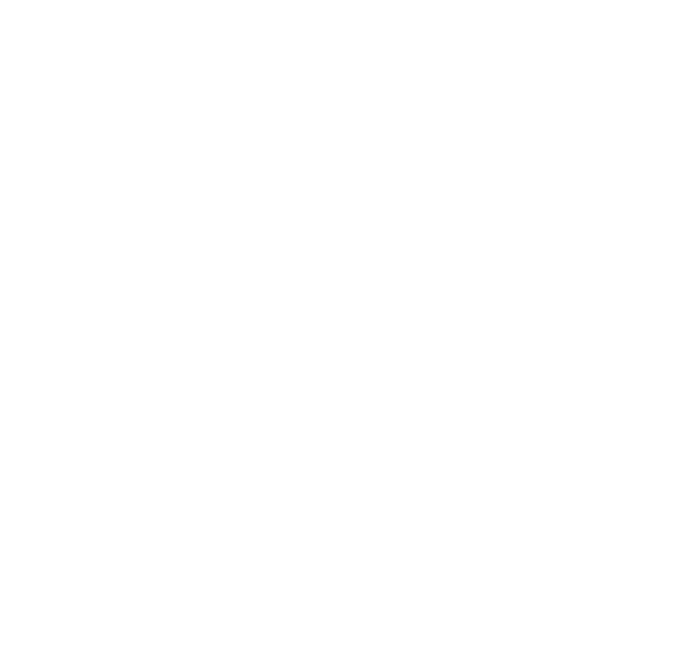 Logo BIM
